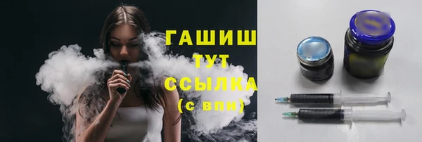 сатива Коряжма