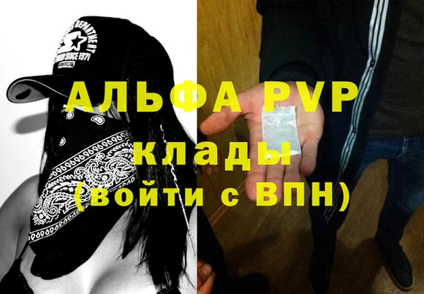 сатива Коряжма