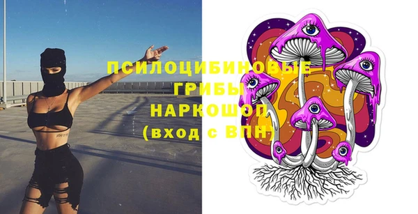герыч Козельск