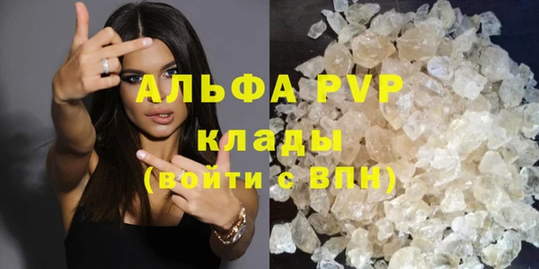 крисы Корсаков