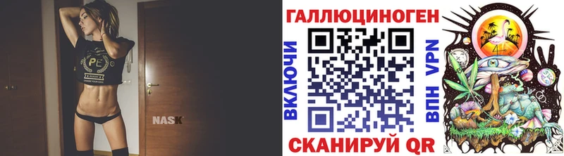 МЕГА   Бийск  Псилоцибиновые грибы Cubensis 