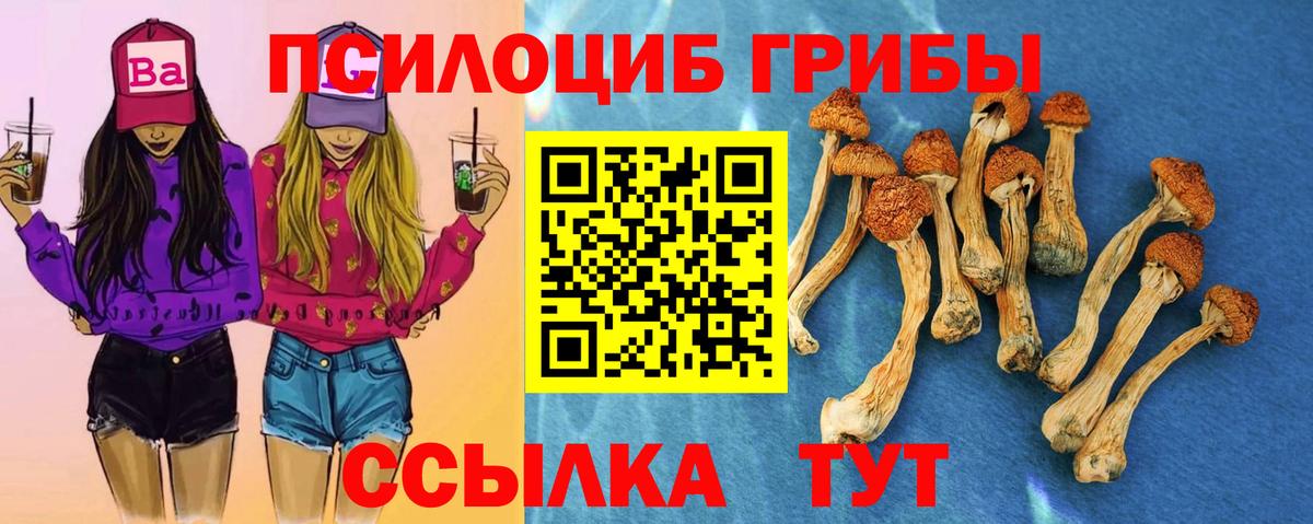 Псилоцибиновые грибы мухоморы Бийск
